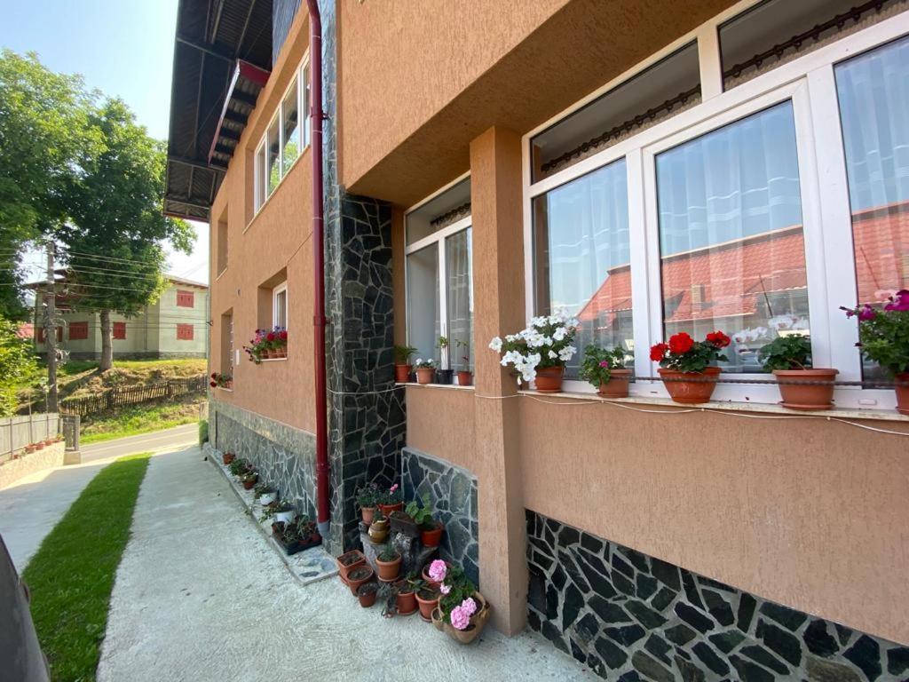 Casa Diana-Maria Leilighet Curtea de Argeş Eksteriør bilde