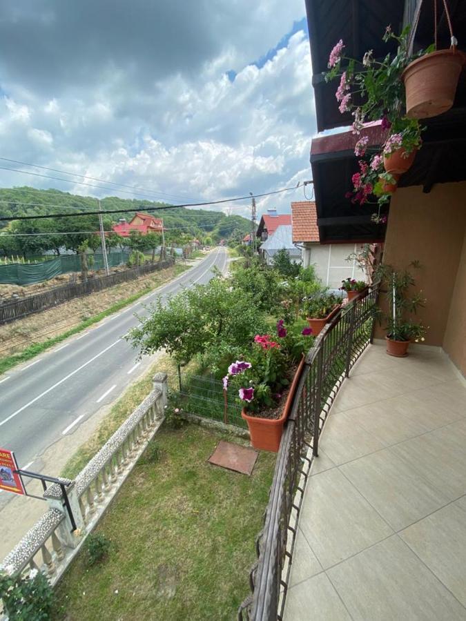 Casa Diana-Maria Leilighet Curtea de Argeş Eksteriør bilde